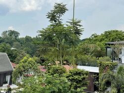 Bukit Way (D21), Detached #454861151
